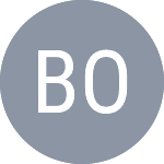 Borisiouk M. logo