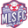 Home team logo