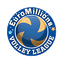 1st league