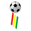 Division Profesional