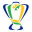Logo of the Copa do Brasil