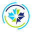 Logo of the Canadian Premier League