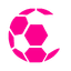 Logo of the 1. HNL