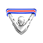 Veikkausliiga