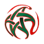 Logo of the Botola
