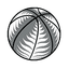NBL