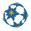 Liga Florilor