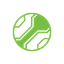 Logo of the Slovenia Cup