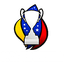 Logo of the Copa Venezuela