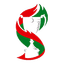 Logo of the League Cup