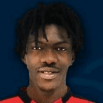 Photo of Aboubakar Diaby