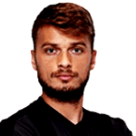 Photo of Adem Ljajić