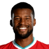 Georginio Wijnaldum image