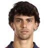 João Félix image