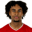 Joshua Zirkzee image