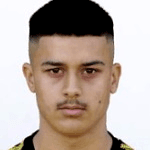 Photo of Lion Semić