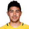 Massimo Luongo image