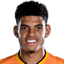 Morgan Gibbs-White image