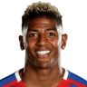 Patrick van Aanholt image