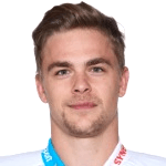 Photo of Radan Lenc