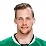 Photo of Radek Faksa