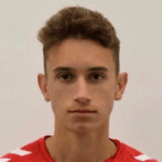 Photo of Stefan Mitrović