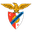 Home team logo