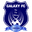 Home team logo