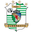 CSC Dumbrăviţa logo