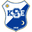 Home team logo