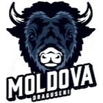 ACS Moldova Drăgușeni logo