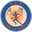 Home team logo