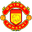 Home team logo