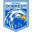 ACS Viitorul Dobrești logo