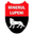 Home team logo