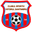 Home team logo