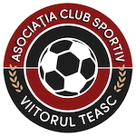 ACS Viitorul Teasc