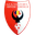 Home team logo