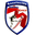Home team logo