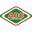 Home team logo