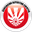 Home team logo