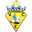 Home team logo