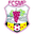 Home team logo