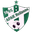 Home team logo
