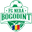 Home team logo