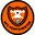Home team logo