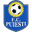 Home team logo