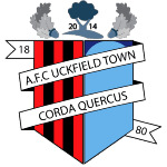 AFC Uckfield