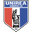 Home team logo