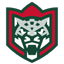 teamLogo